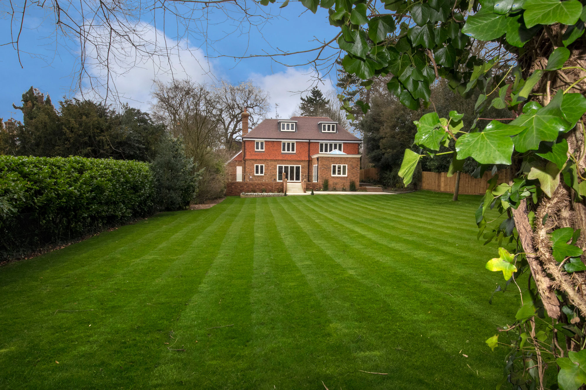 Butterfly House, Guildford - view 25