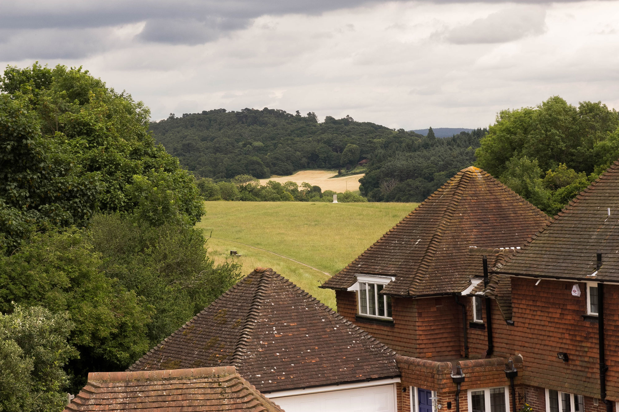 Pewley Heights, Guildford - view 13